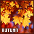 Season: Autumn/Fall