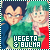 Dragonball: Vegeta & Buruma Briefs